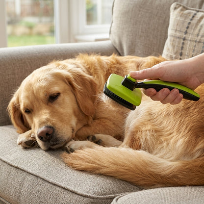 Self-Cleaning Slicker Brush for Dogs & Cats – Gentle Shedding Grooming Tool